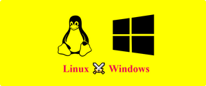 Image: Windows and Linux logo