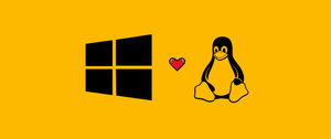 Windows and Linux logos